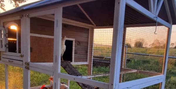 Chicken Tractor Build DIY Rolling Coop